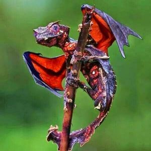 Meet your Posher, Terri